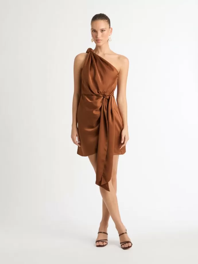 Fashion Avery Mini Dress Brown Woman Dresses