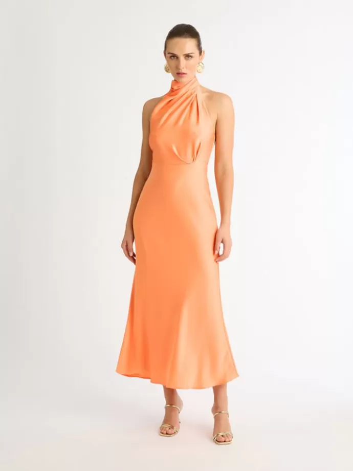 New Jasmine Midi Dress Woman Dresses